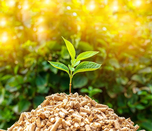 bằng cách di chuyển một vật chỉ thị